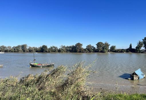 Restaurantes de la provincia donde asomarse al Guadalquivir