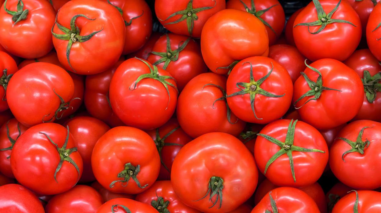 Conserva tus tomates frescos durante más tiempo con un pequeño truco
