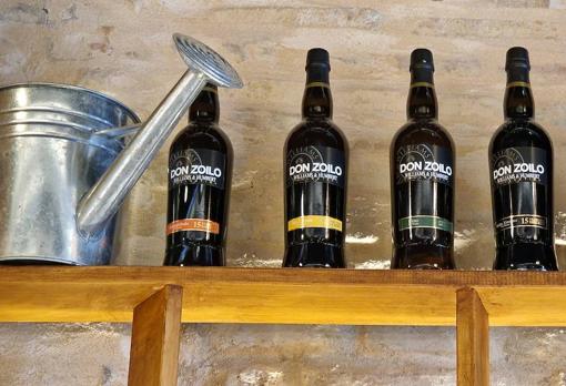 La Taberteca, una taberna sevillana con la firma de Juan Andrés Morilla