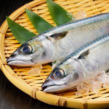 La caballa es un producto de temporada de febrero