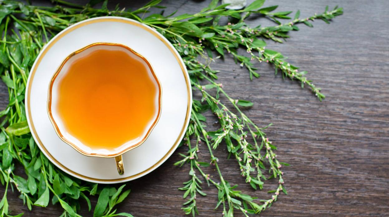 Hay muchos tipos de infusiones para perder peso