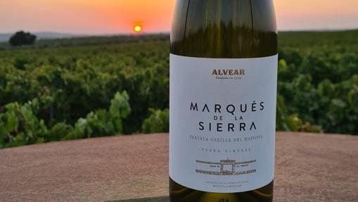 Diez cualidades para aprender a catar los vinos de Córdoba