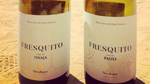 Diez cualidades para aprender a catar los vinos de Córdoba