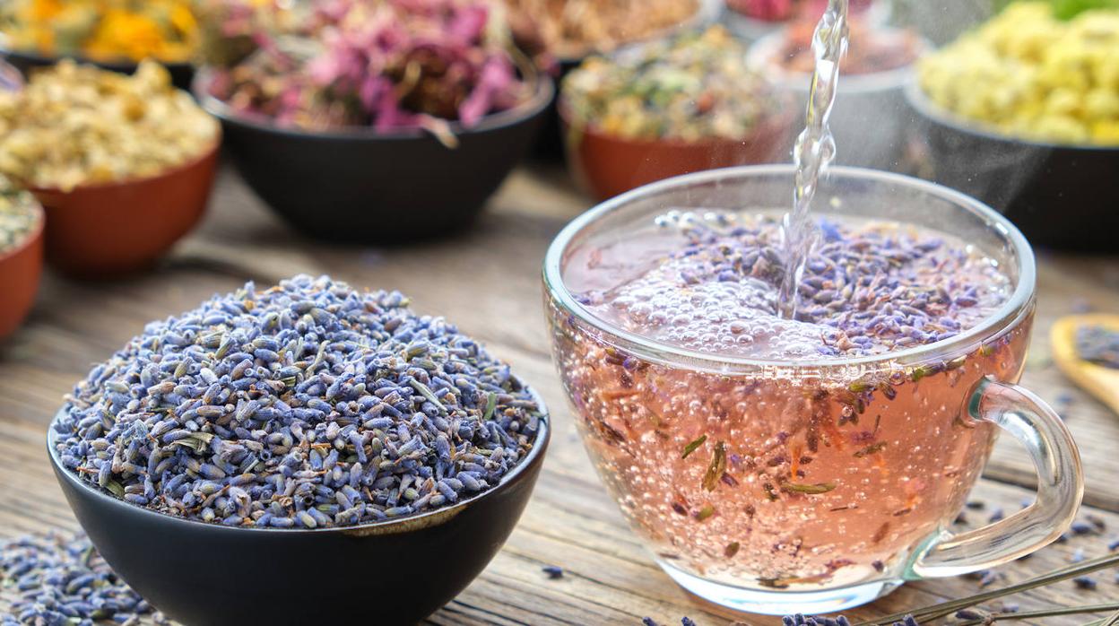 Hay muchos tipos de infusiones para conciliar el sueño