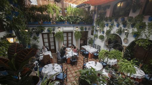 Dónde comer en Córdoba en restaurantes con patios bonitos y con encanto