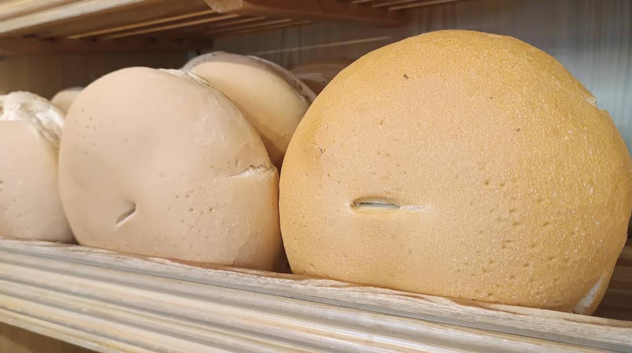 Pan candeal del obrador El Vacar, que se distingue por su corteza color crema