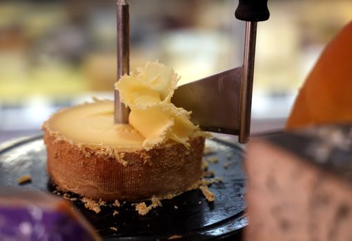 En Casa Daniel tienen más de 60 referencias distintas