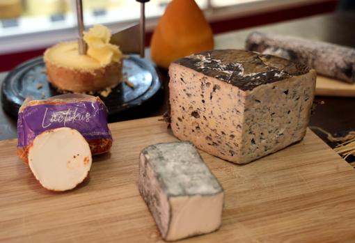 Algunos de los quesos premiados que hay en sus vitrinas