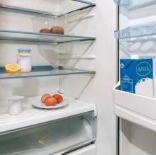 Frigorífico casi vacio