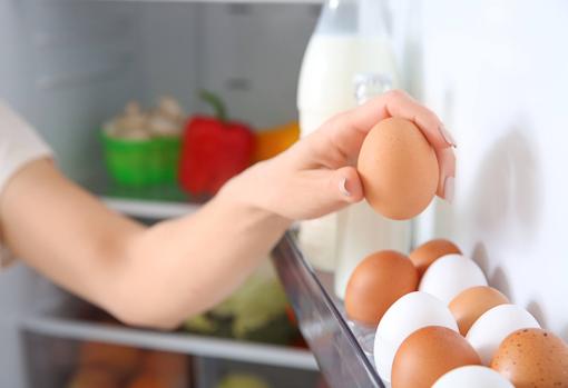 No pongas los huevos en la puerta de la nevera, porque en esta zona cambia mucho la temperatura