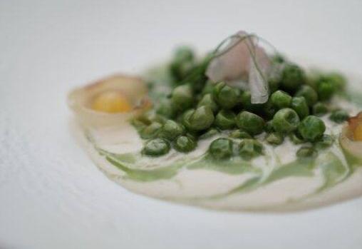 Guisantes y «blanquette»