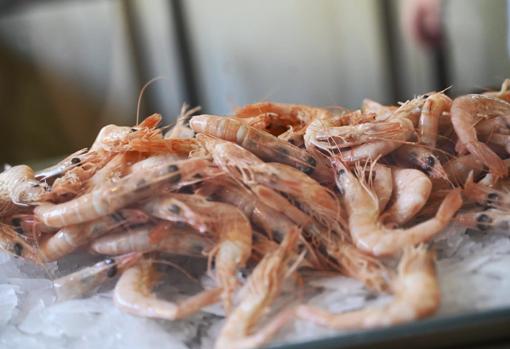 La Alicantina: reinvención de un clásico que se niega a perder su esencia