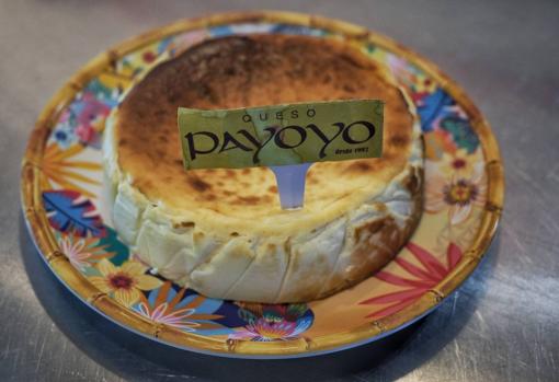 Tarta de Mr Cheesecakes