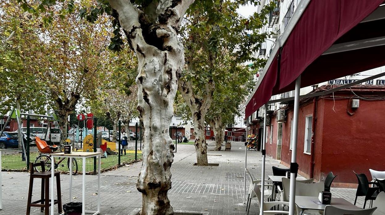Terraza del bar El Tardón, en Triana