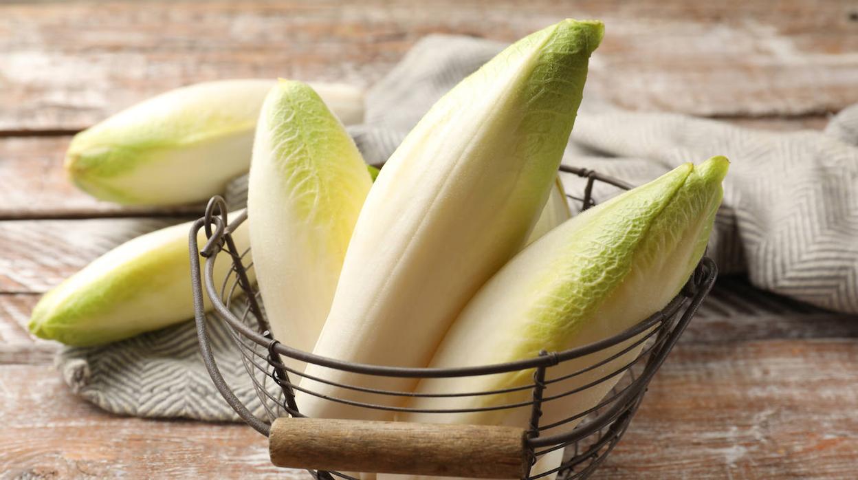 Las endibias están deliciosas y son beneficiosas para nuestra salud