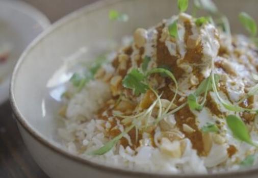 Mono: «El más listo de la selva»