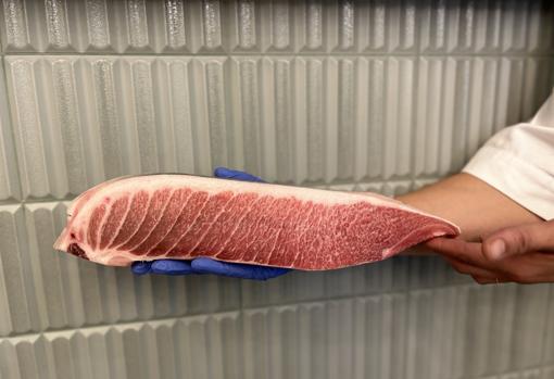 Augurio da el salto de Punta Umbría a la calle Julio César de Sevilla