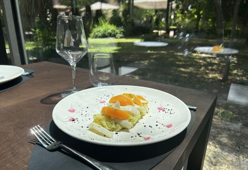 El 29: cocina «non stop», dos cartas distintas y vistas panorámicas al Parque María Luisa