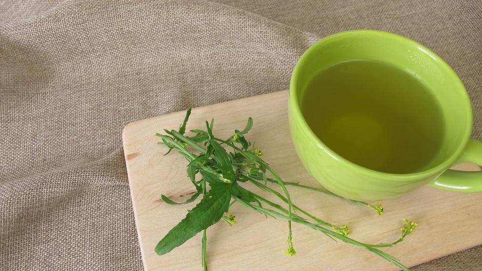 Erísimo, la planta que los cantores usan para aliviar la tos