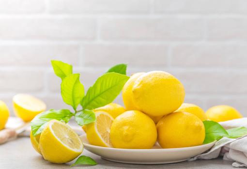 Utiliza los mejores limones para hacer sorbete