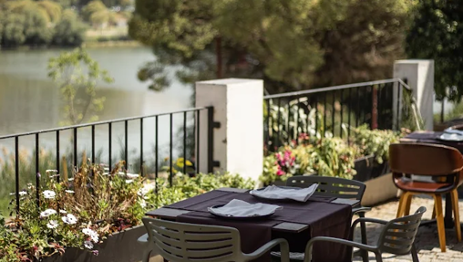 Terrazas de Sevilla para cenar junto al Guadalquivir