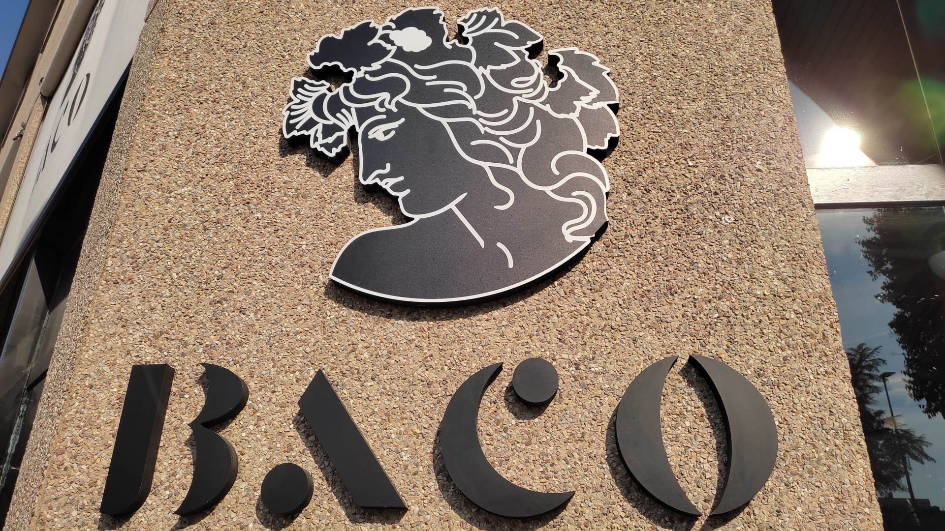 Entrevista a John Mcelyea, responsable de Baco y Macsura