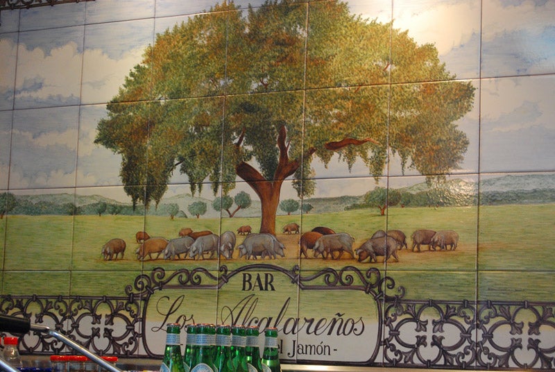 Coma ibérico 385. Coma ibérico