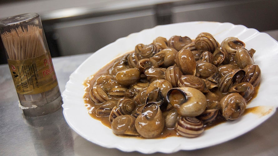 casa-ruperto-codornices (3). 