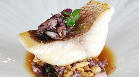 Urta con majado de almendras y chipirones acompañado de su caldo encebollado - Gurmé