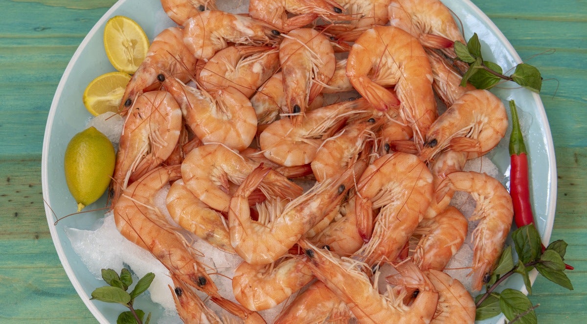 Langostinos de Sanlúcar cocidos - Gurmé