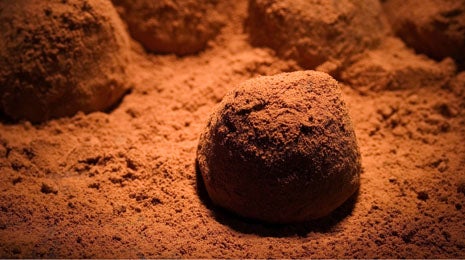 Trufas caseras de chocolate - Gurmé