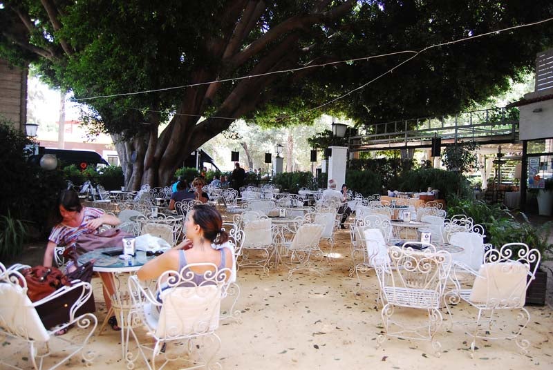 A la sombra del Parque de María Luisa 1101. La Raza Sevilla