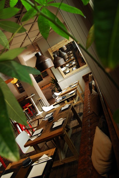 Ambiente cosmopolita 1185. Ambiente cosmopolita