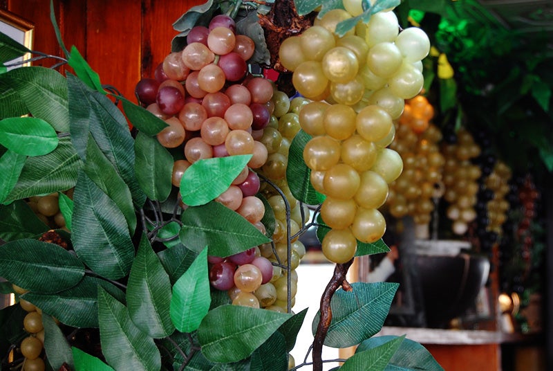 De la montaña a la barra 2051. De la montaña a la barra