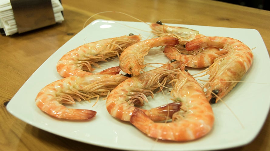 mar-fresquita-sevilla (2). 