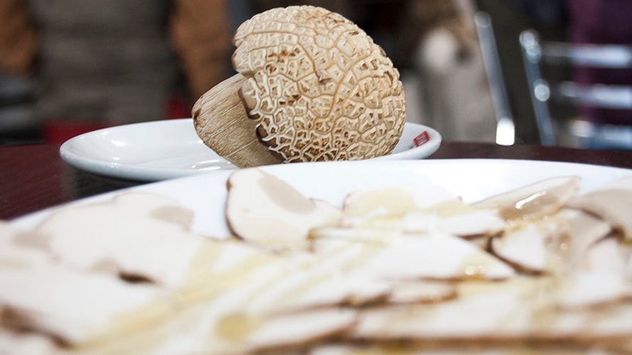 Cervecería Martín Blanco