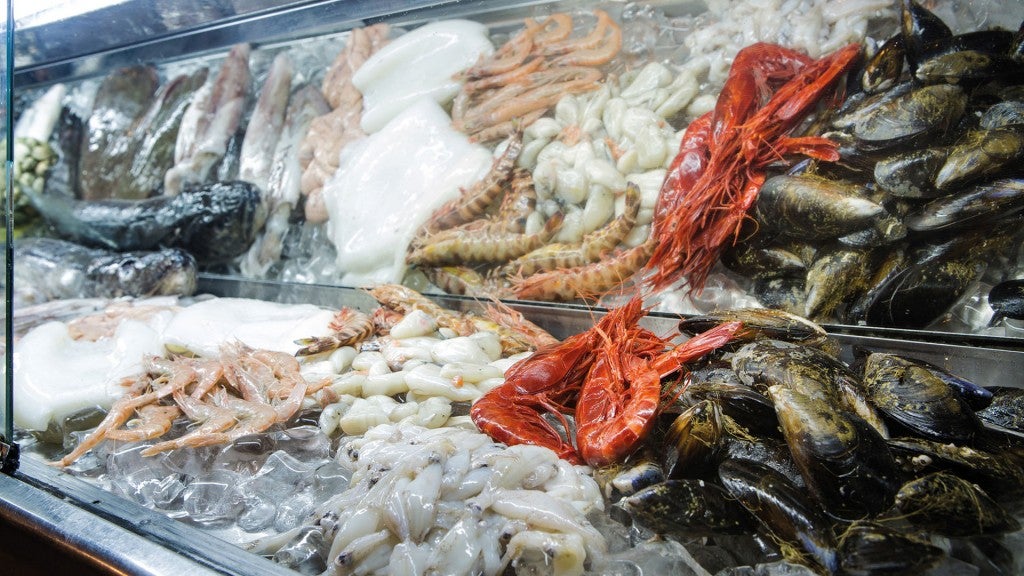 meson-casa-paco (1). 