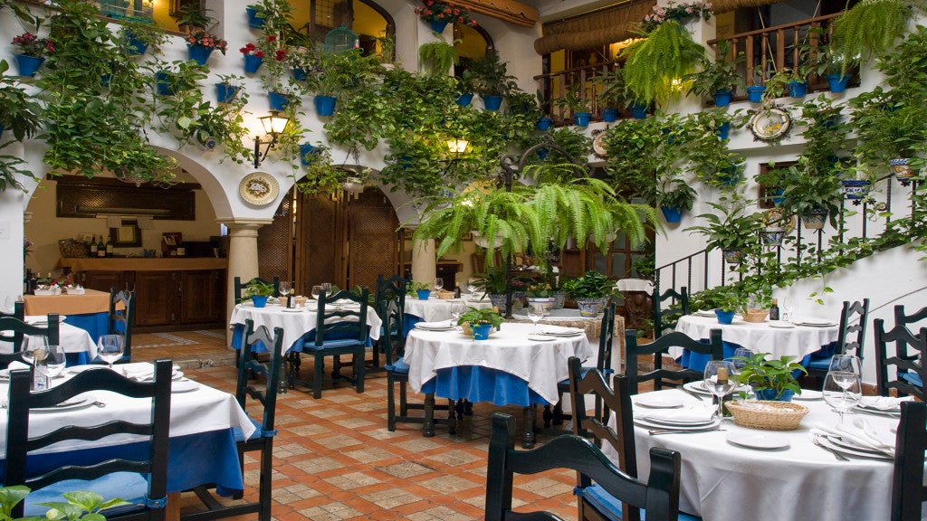 OLYMPUS DIGITAL CAMERA. 