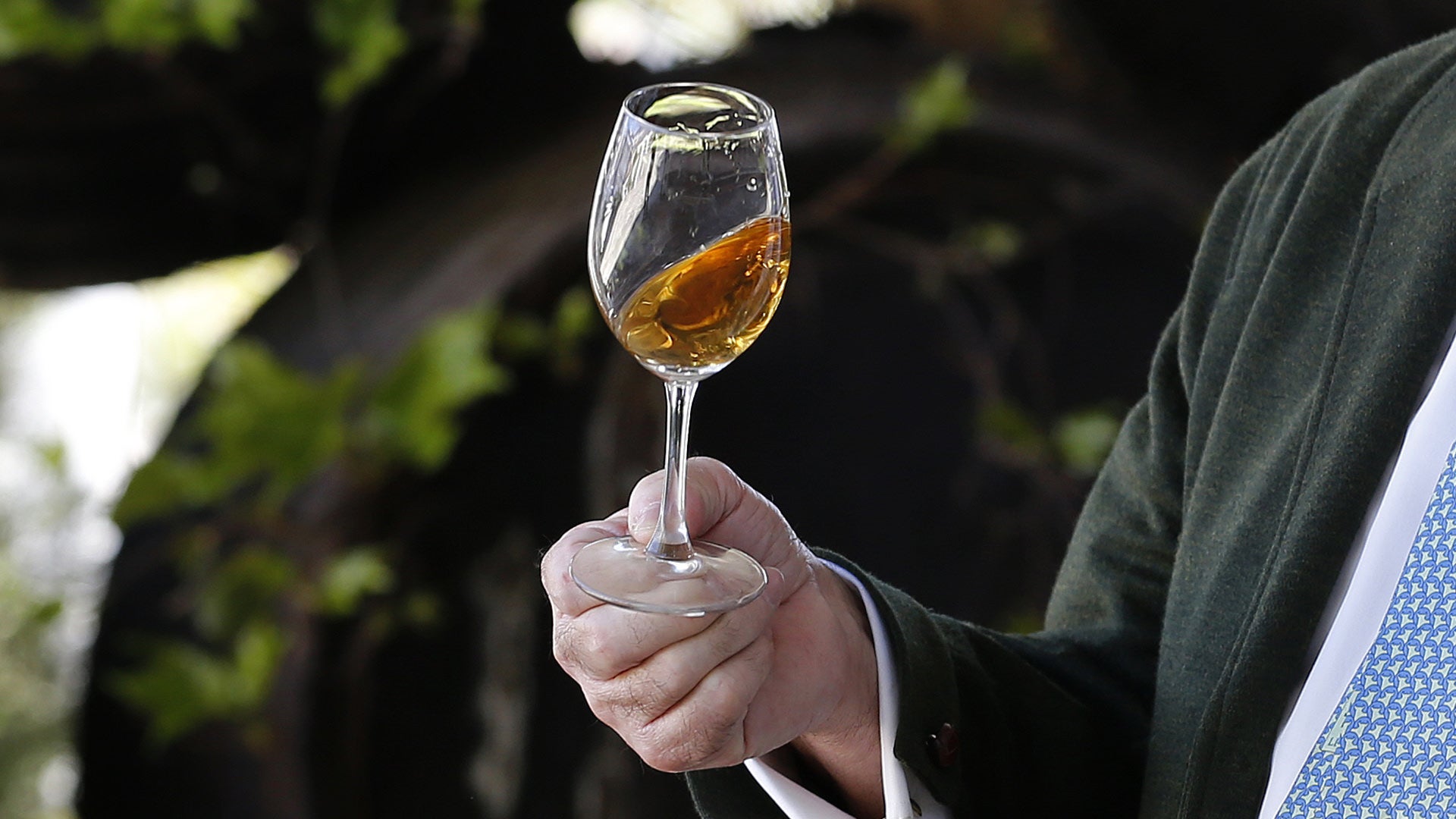Un paseo para degustar en Córdoba vinos olorosos y amontillados de la tierra (I)
