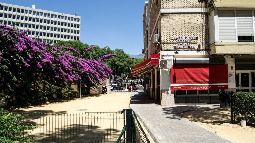 Qué comer en Casa Consuelo en Sevilla