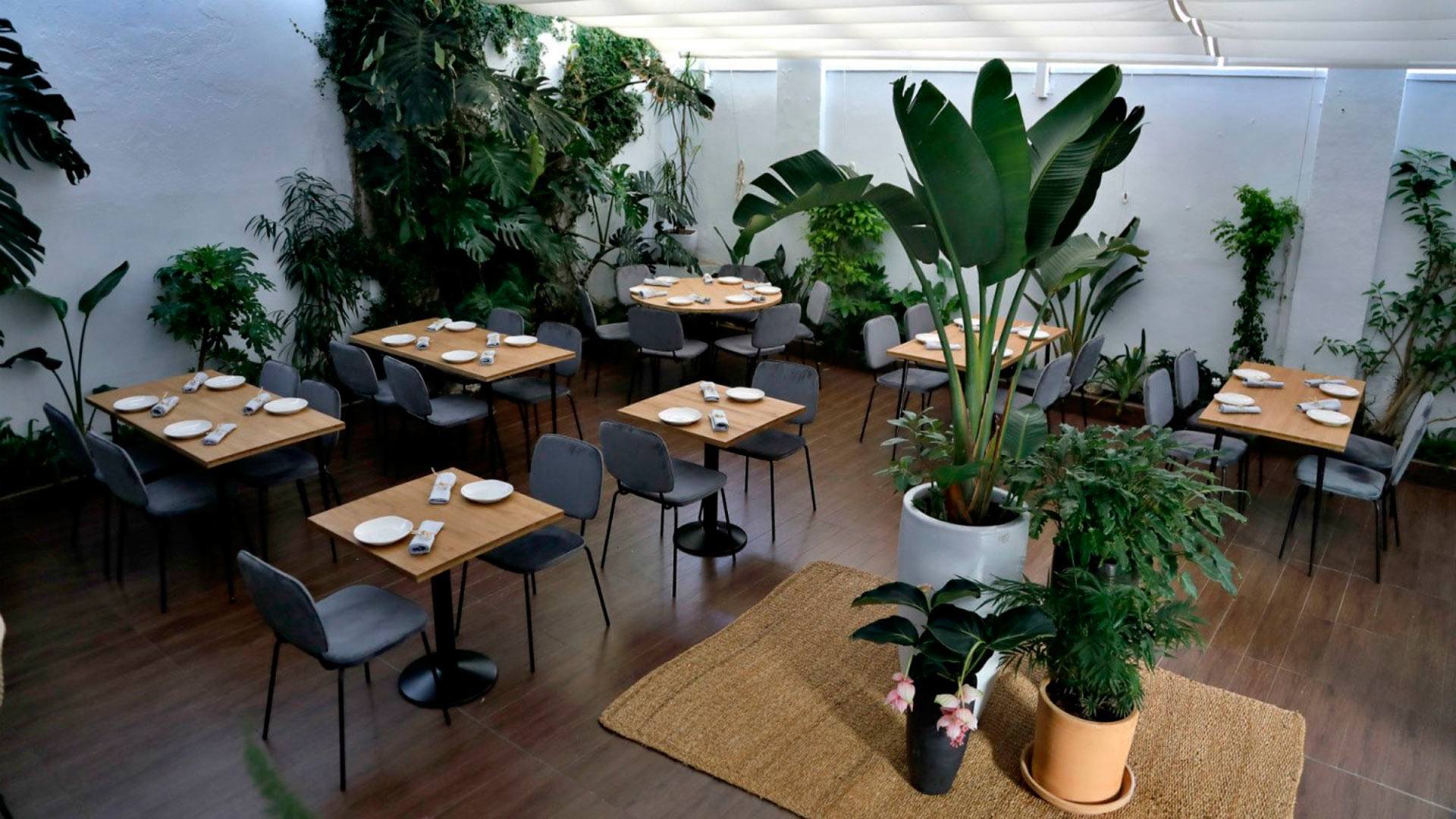 ¿Dónde comen los chefs con estrella Michelin cuando vienen a Sevilla?