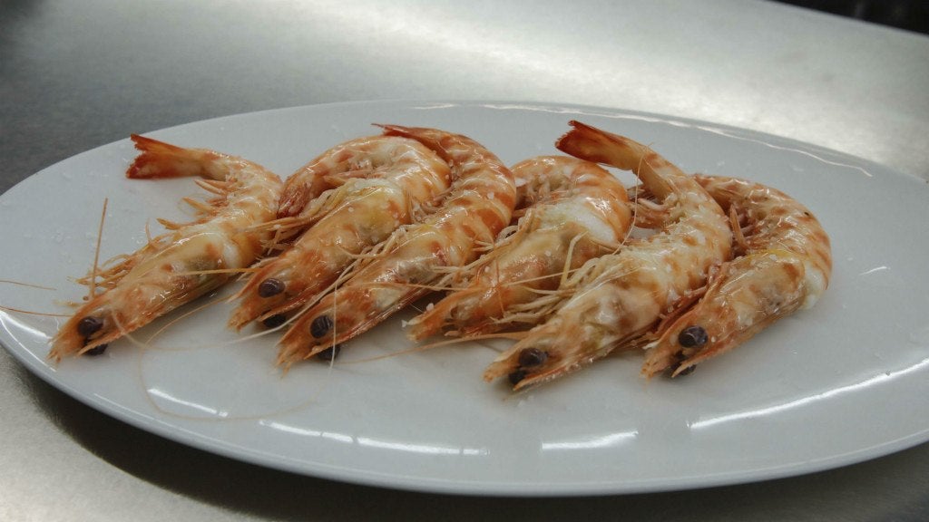 la-barra-de-canabota-13. 