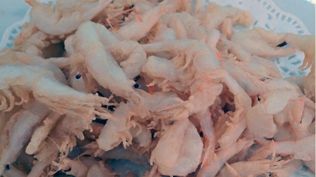 periqui-mairena-tapas-4. 