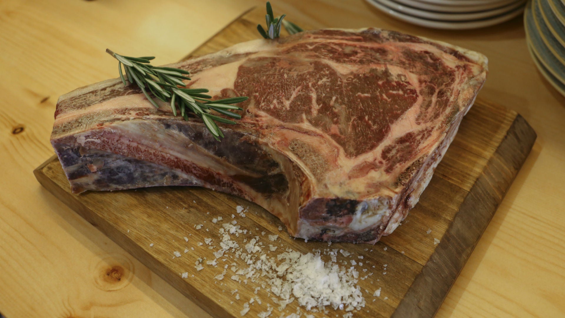 Todo sobre Petra, en el centro de Sevilla