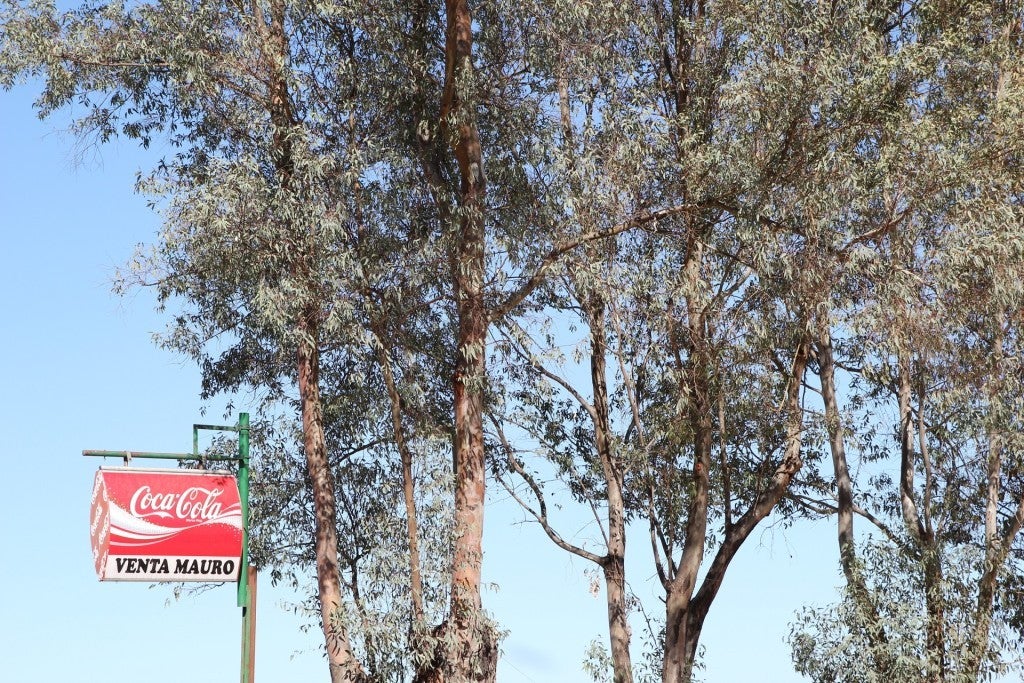 Venta Mauro (Villamanrique de la Condesa)