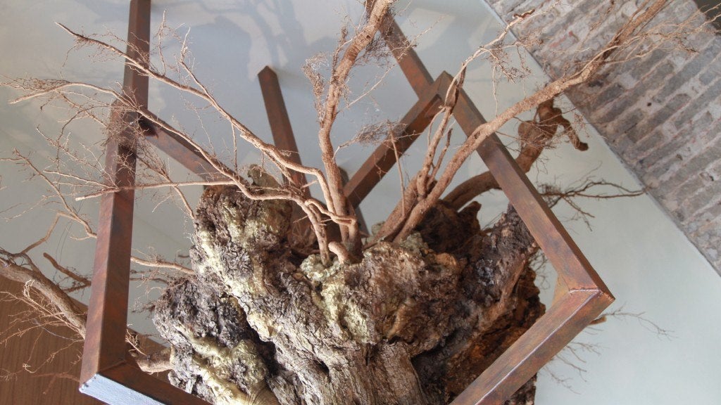 alfardos_carmona_restaurante-1. 