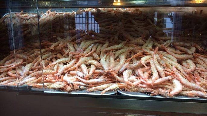 Marisquería El León en Constantina. Marisquería El León en Constantina