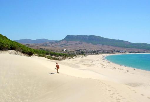 Duna de la playa de Bolonia