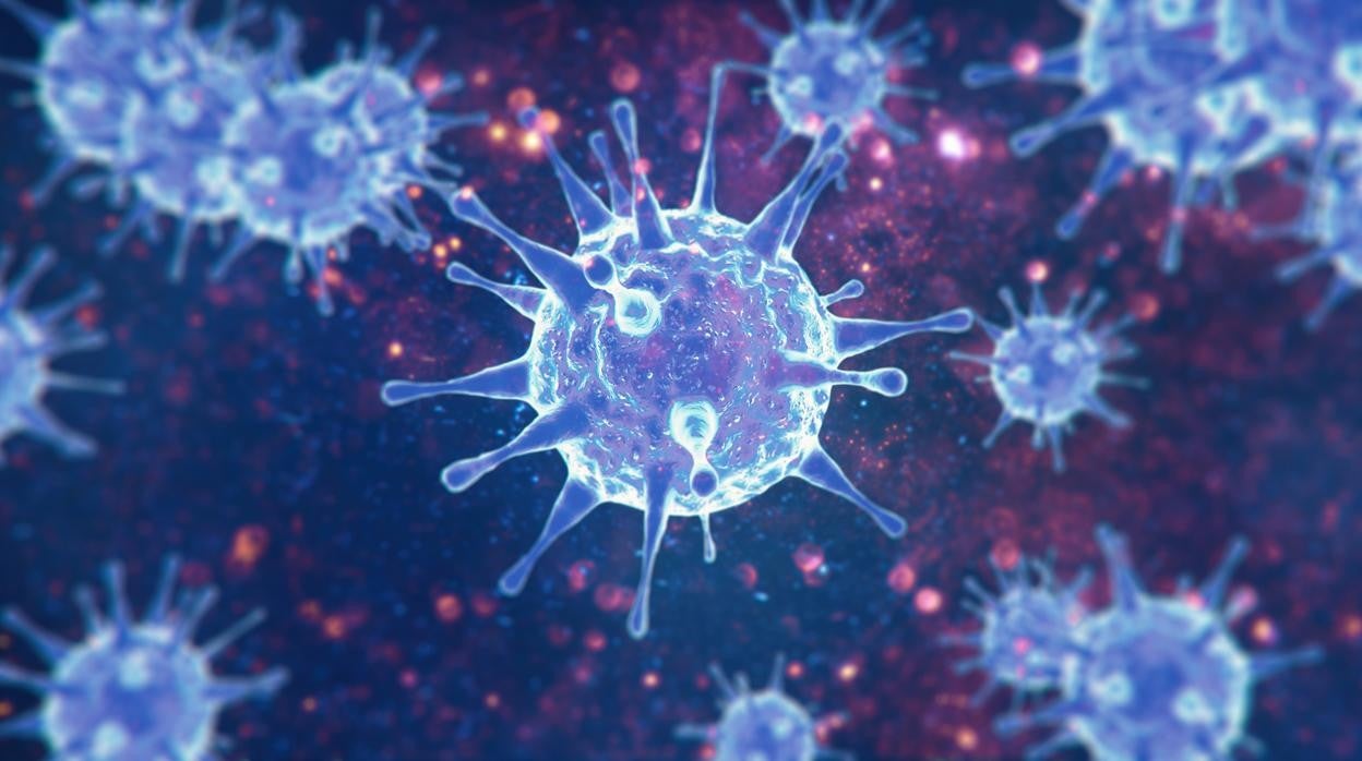 Clara Zamora: Partir de cero