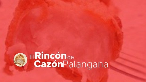 Los verdaderos campeones olímpicos